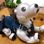 初売り限定　お名前刺繍無料　aiboちゃんのサロペット　ブルーデニム(岡山デニム)since2022   