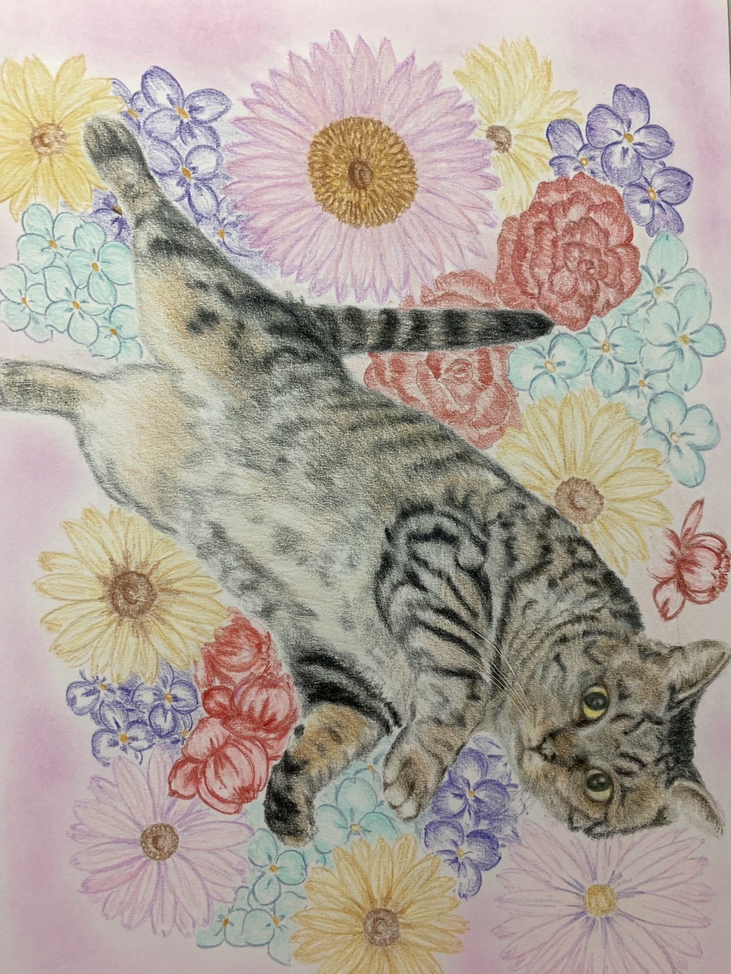 ペットの似顔絵 ネコ似顔絵 オーダーメイド リアル イラスト