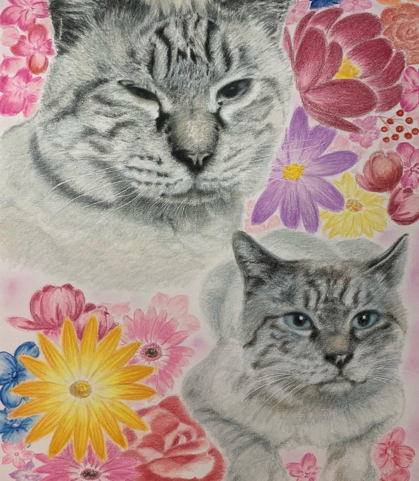 ペットの似顔絵オーダー　猫 ペットの似顔絵 ネコ似顔絵 オーダーメイド リアル イラスト