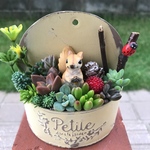 ★送料無料★♡そのまま飾れる♡リスちゃんの多肉植物寄せ植え╰(*´︶`*)╯♡