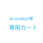 knzwkor様オーダー品