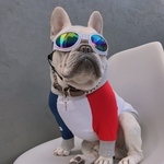 名入れオーダー犬服  トリコロールカラーパーカー 