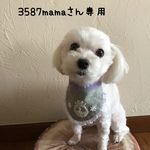 犬用スタイ・バースデースタイ