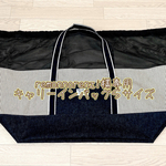 remonnorenzi様専用☆キャリーインバッグ３６X５０
