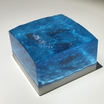 遠浅の海 ハンドウイルカ ブルー
