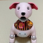 aibo ハロウィンスタイ ストライプ柄