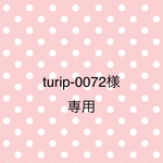 turip-0072様専用