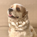 絵の具ドッド◉ベージュ　犬用スヌード　中型犬用スヌード