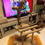 ⌘ バード⭐︎アスレチック ⌘