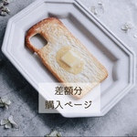 差額分購入ページ
