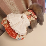 うさぎM カントリーエプロンドレス ペット服 ハーネス