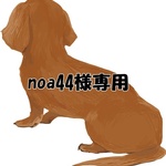 ☆noa44様専用☆