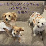 いこちゃんろくちゃんいちかちゃん🐶🐶🐶専用ページ