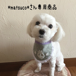 犬用スタイ・アニバーサリースタイ