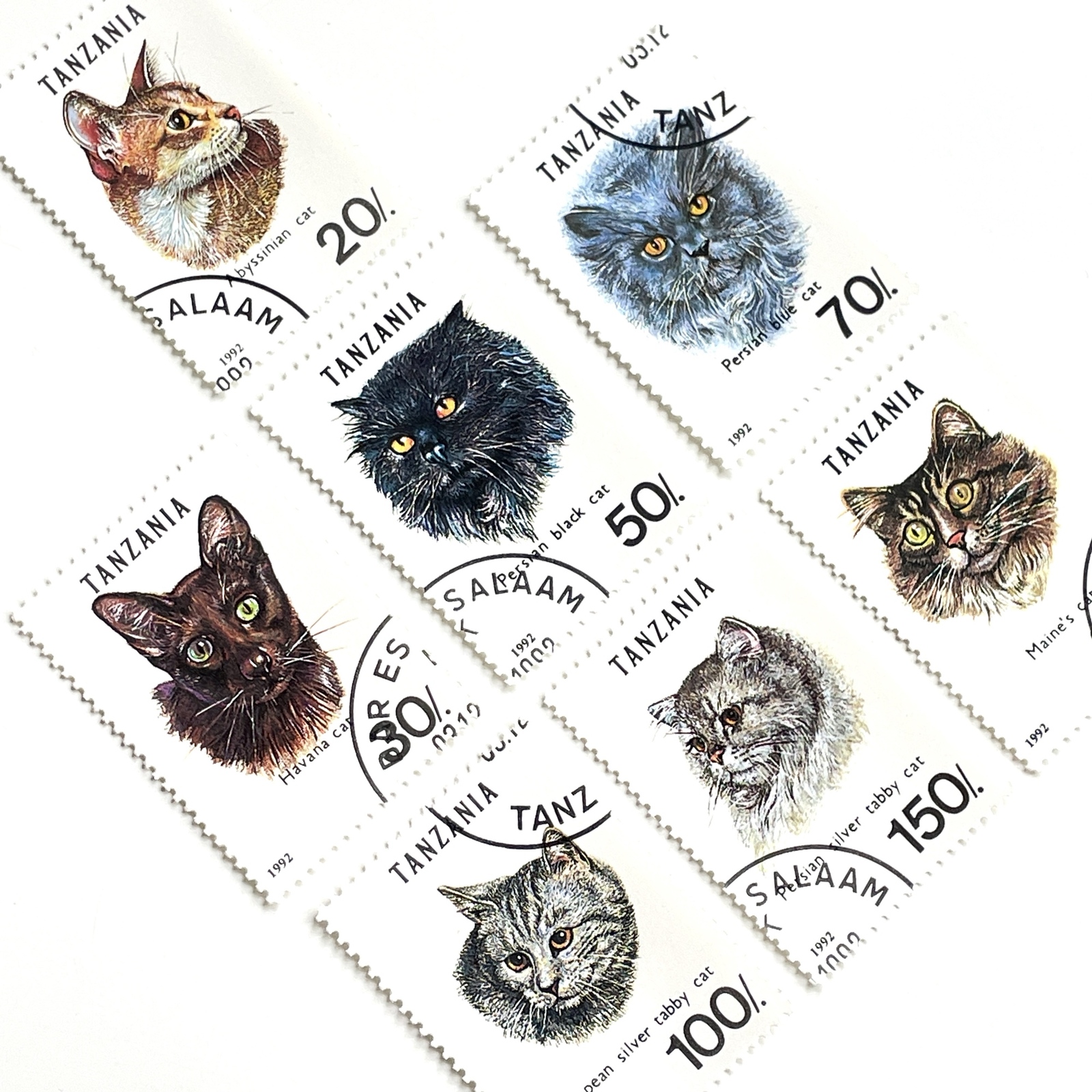 まとめ品6712 外国切手 ギニア 1995年 猫 5種セット 6712 外国切手 ギニア 1995年 猫 5種セット - メルカリ