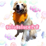 ♥ galugaluce様オーダー♥