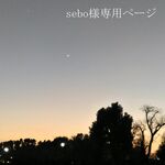 sebo様専用ページ