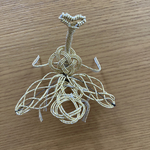 【限定一点】カブトムシ