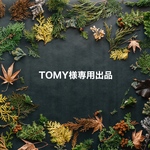 TOMY様専用出品