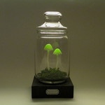 LED キノコ ランプ ライト　照明　発光きのこ B001