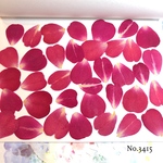 ♡new♡作家様必見♡小さめな花びらがいっぱい♡ 押し花セット