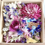 ドライフラワー🥀花材／小 レジン材料 封入