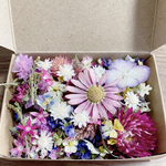 ドライフラワー🥀花材／中サイズ レジン材料 封入
