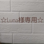 【luna様専用】バルチックちゃん