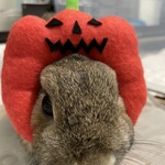 オーダー受付中🎃Halloween🎃カチューシャ