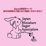 @jyolx様専用プチシュガープレート３枚2セット