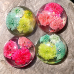 母の日sale♡かすみ草ピアス♡母の日 カーネーション マスカット ドライフラワー レジン プチギフト まんまる イヤリング