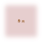 専用ページ