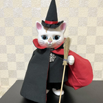 こはるちゃん用　ハロウィン👻マントセットアップ