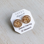  【SALE】dry flower  circle pierce clear2/ドライフラワー  レジン