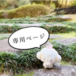 のんのん様 専用ページ🐞🌿