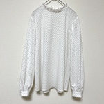 check&stripe ドットミニヨンのフリルブラウス