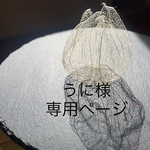オーダー専用ページ