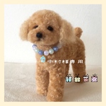 新生児から使える🧸初めてのヘアゴム🧸mini mini hair gomu🧸3セット🧸