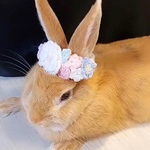 うさぎ用　花冠
