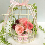 再再販！littleGarden