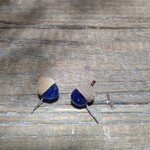 耳たぶはりつくどんぐりピアス　秋の貴石サファイヤ編