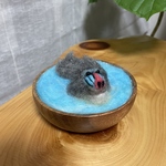 C様専用 マンドリルさん♡