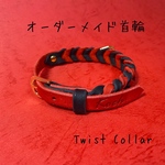 Koch/Twist Collar    犬猫用首輪　オーダーメイド