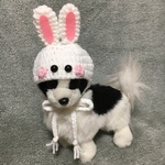 うさぎの帽子❤️小型犬用帽子・猫用帽子❤️ハンドメイド