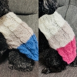 ふんわりワンちゃんベスト