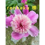 renkaku 様　オーダーのお品物