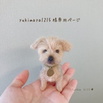 ＊オーダー品＊手乗りうちの子🐾レオンくん🐾
