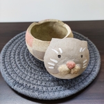 猫市松おこつぼ