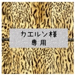 カエルン様専用ページ