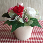 カーネーション花